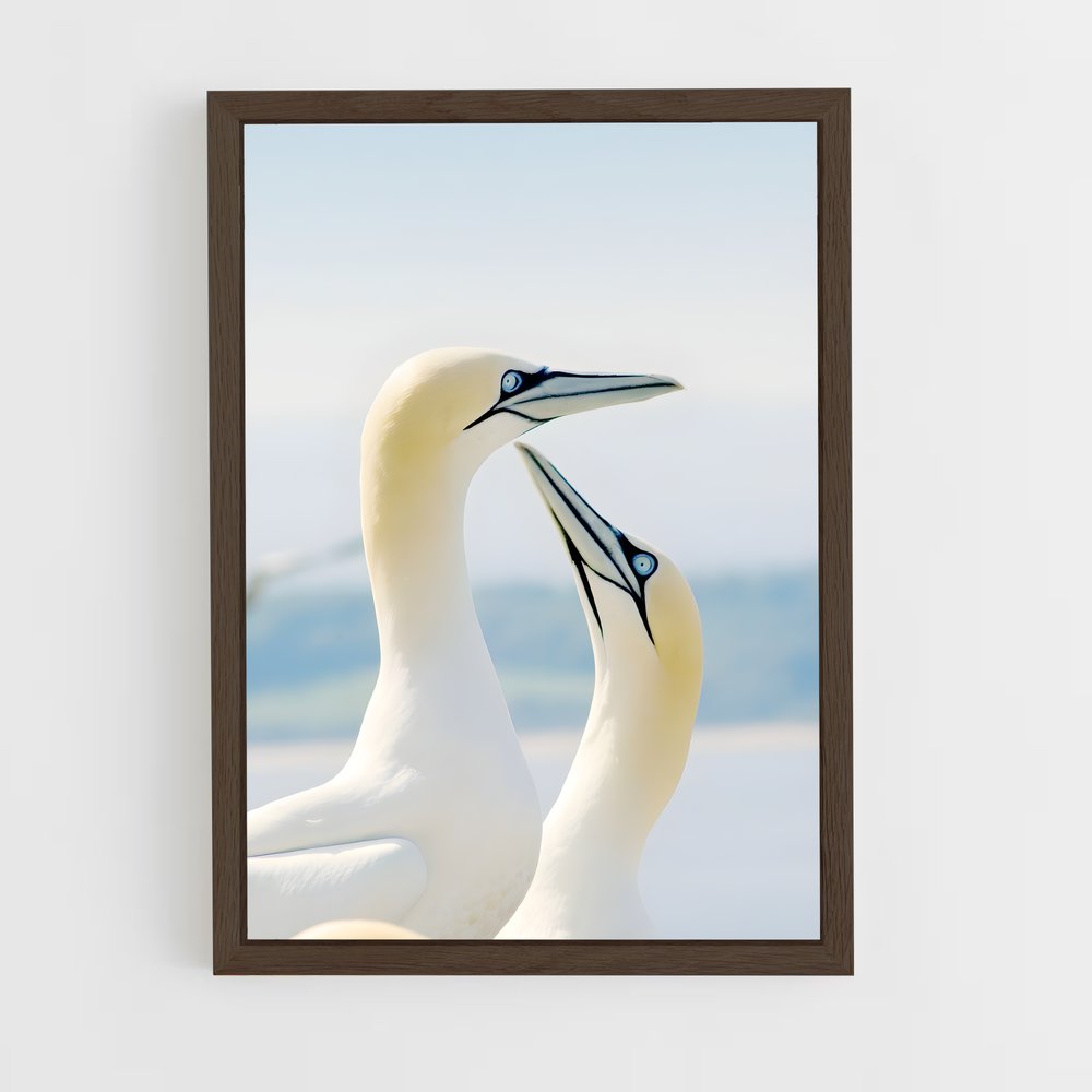 ap-gannet-6 cadre Bois foncé