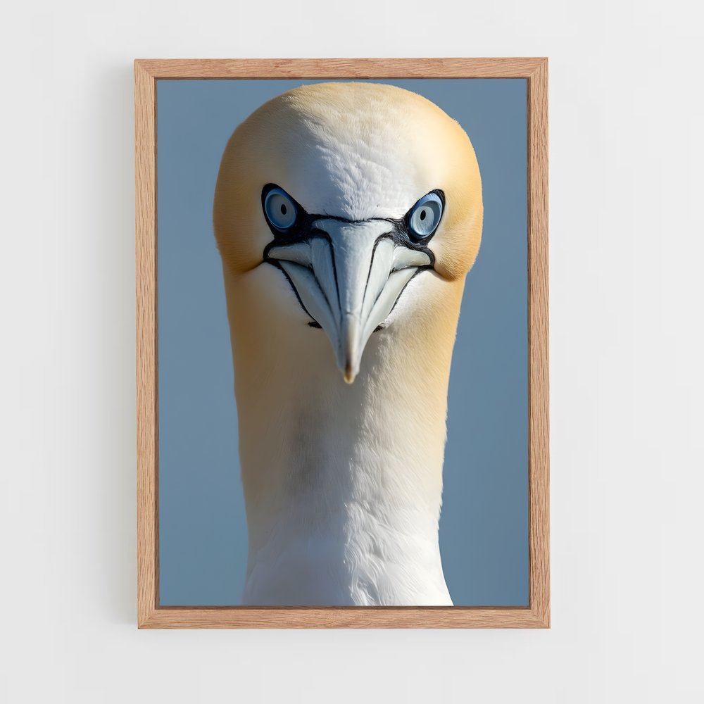 ap-gannet-9 cadre Bois clair