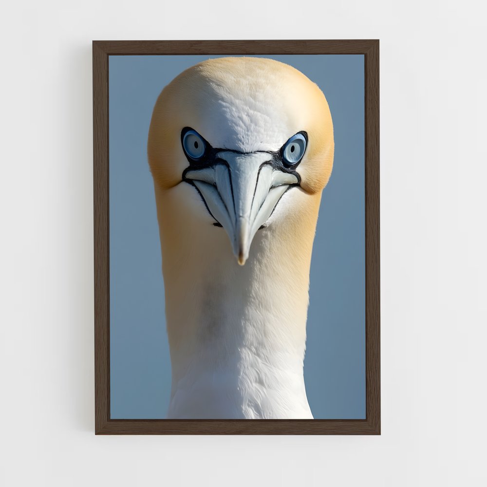 ap-gannet-9 cadre Bois foncé
