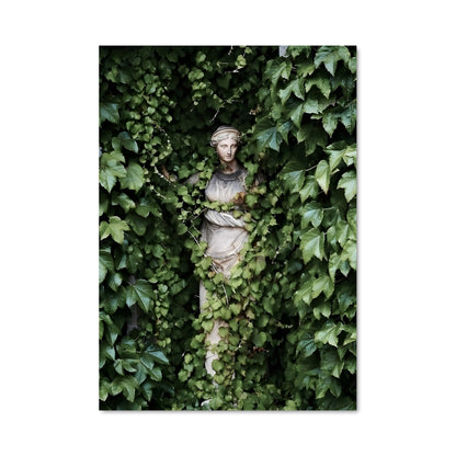 Poster Garden 23729