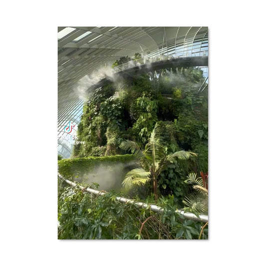 Poster Forêt des Nuages