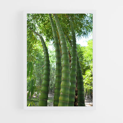 ap-giant bamboo-1 cadre Blanc