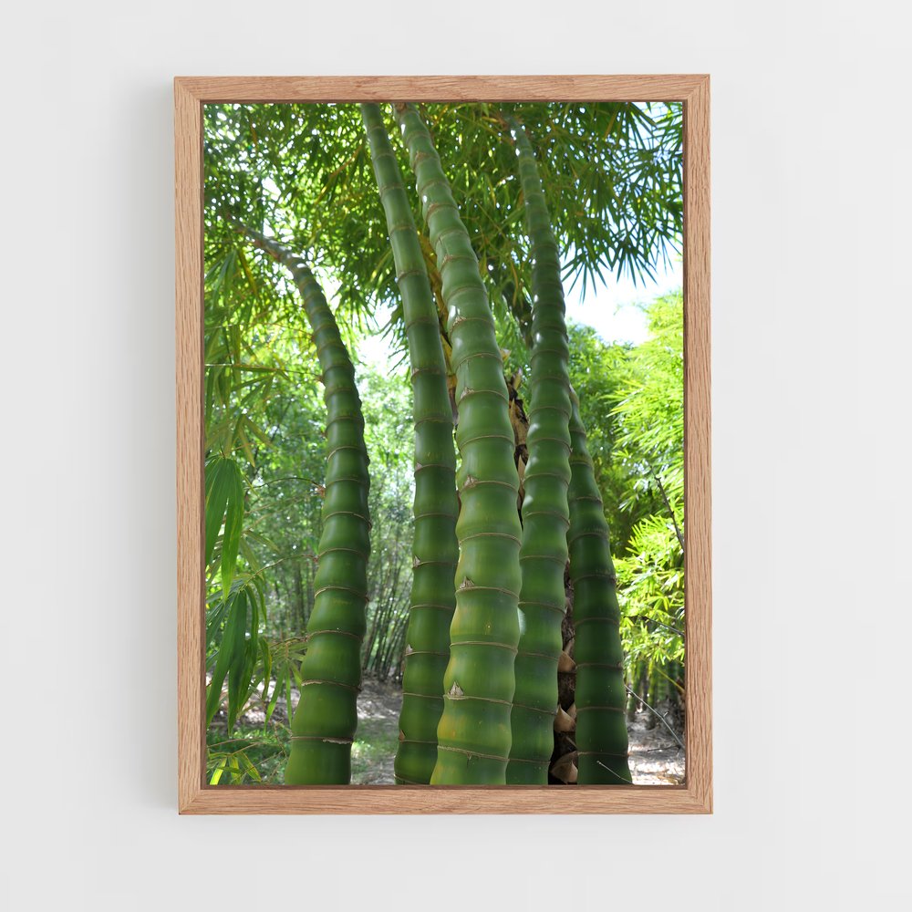 ap-giant bamboo-1 cadre Bois clair