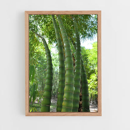 ap-giant bamboo-1 cadre Bois clair