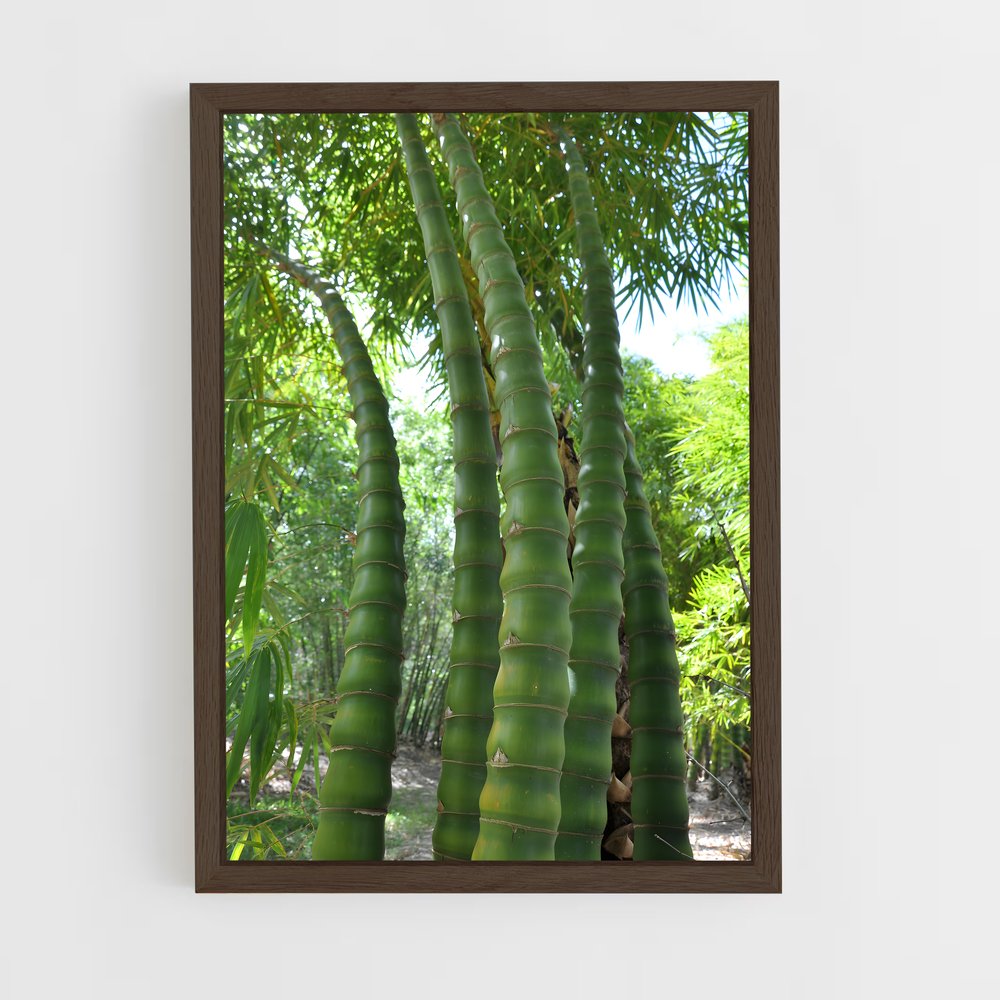 ap-giant bamboo-1 cadre Bois foncé