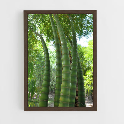 ap-giant bamboo-1 cadre Bois foncé