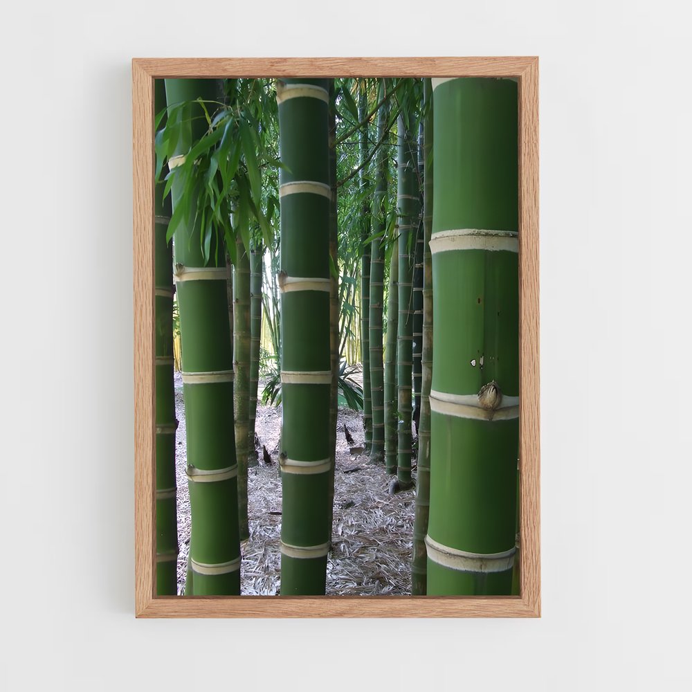 ap-giant bamboo-2 cadre Bois clair