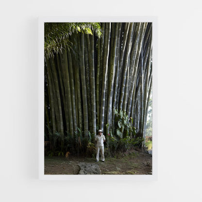 ap-giant bamboo-3 cadre Blanc