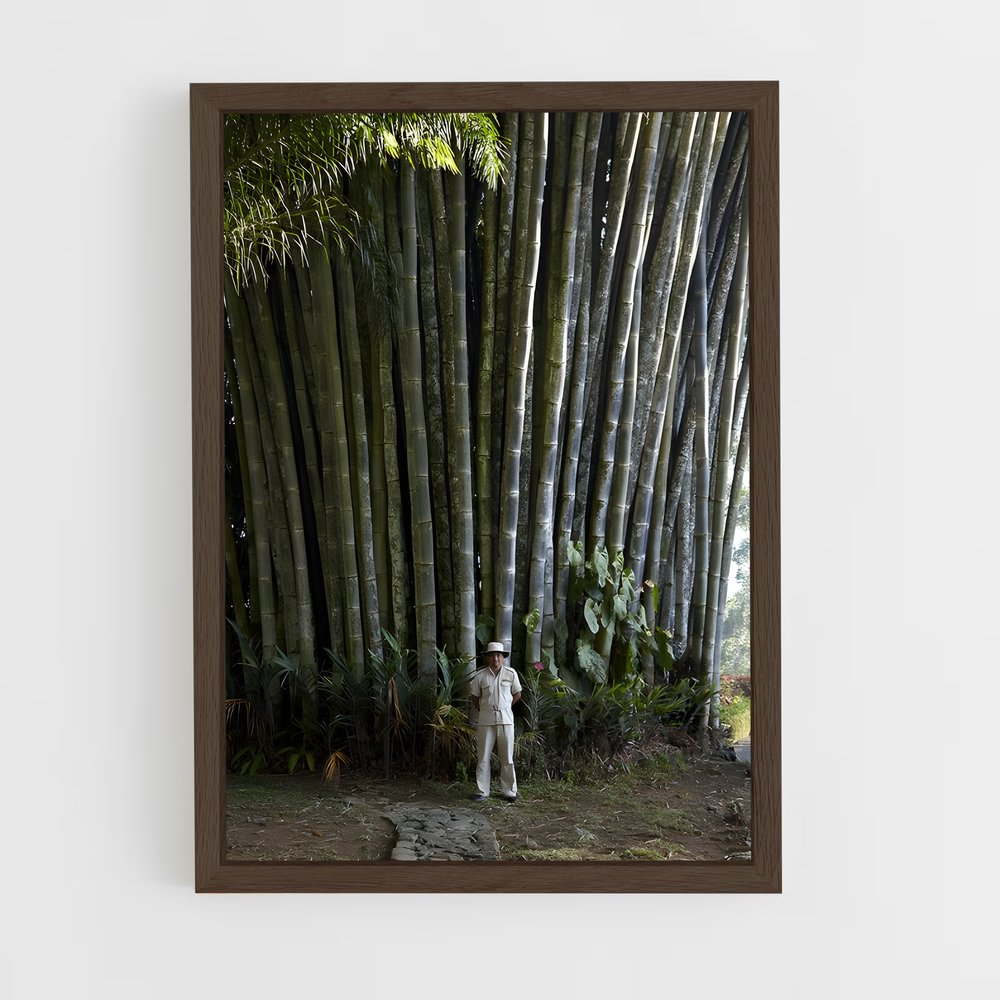 ap-giant bamboo-3 cadre Bois foncé