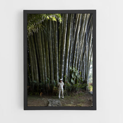 ap-giant bamboo-3 cadre Noir