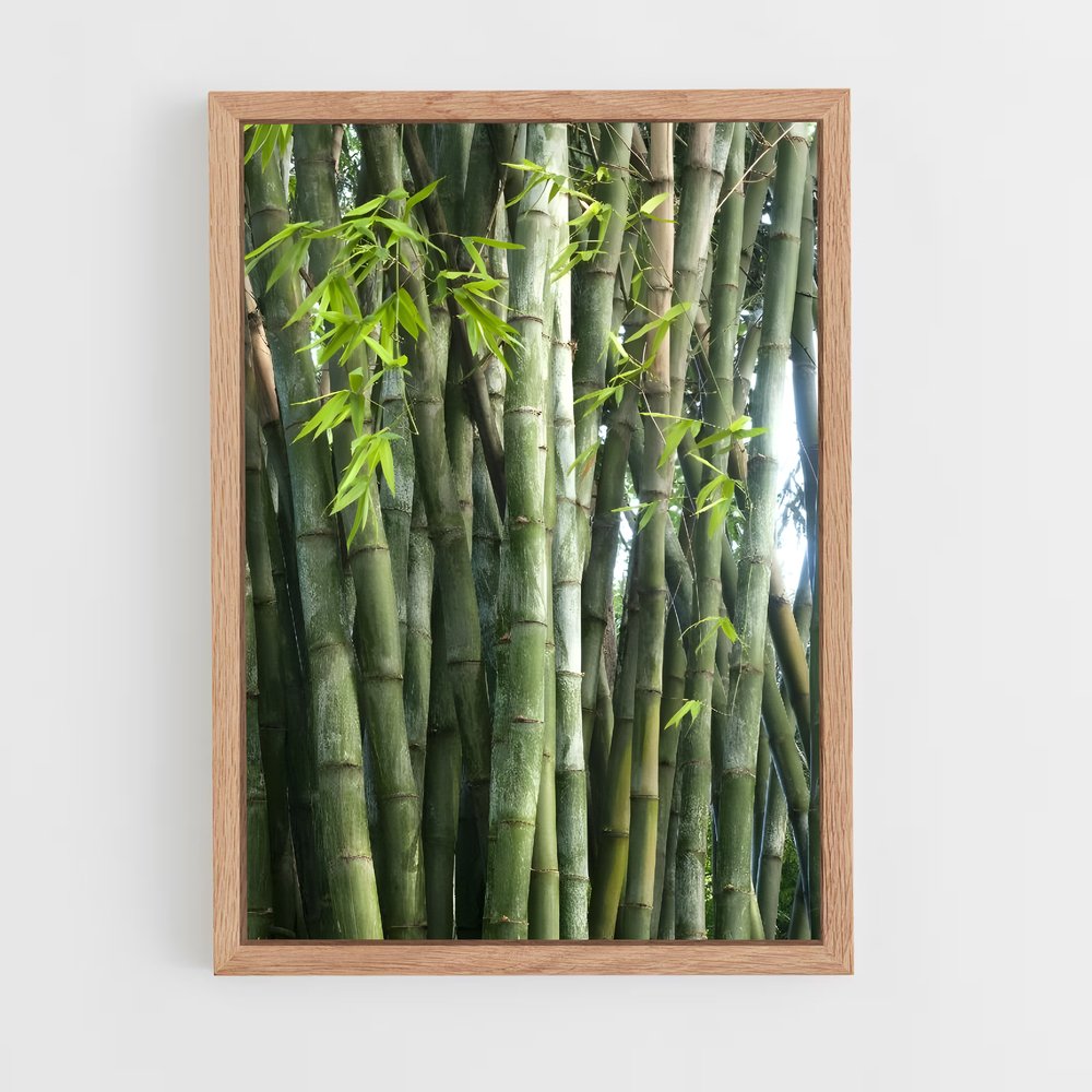 ap-giant bamboo-4 cadre Bois clair