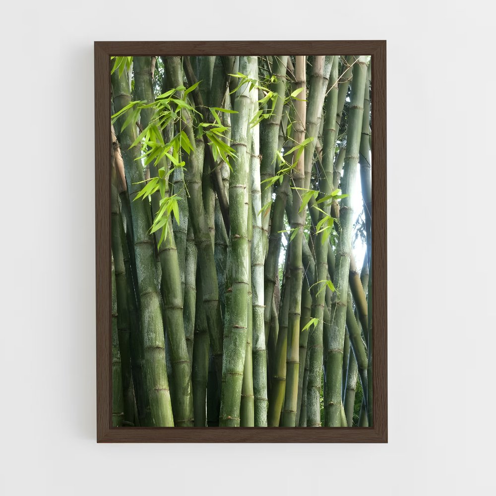 ap-giant bamboo-4 cadre Bois foncé