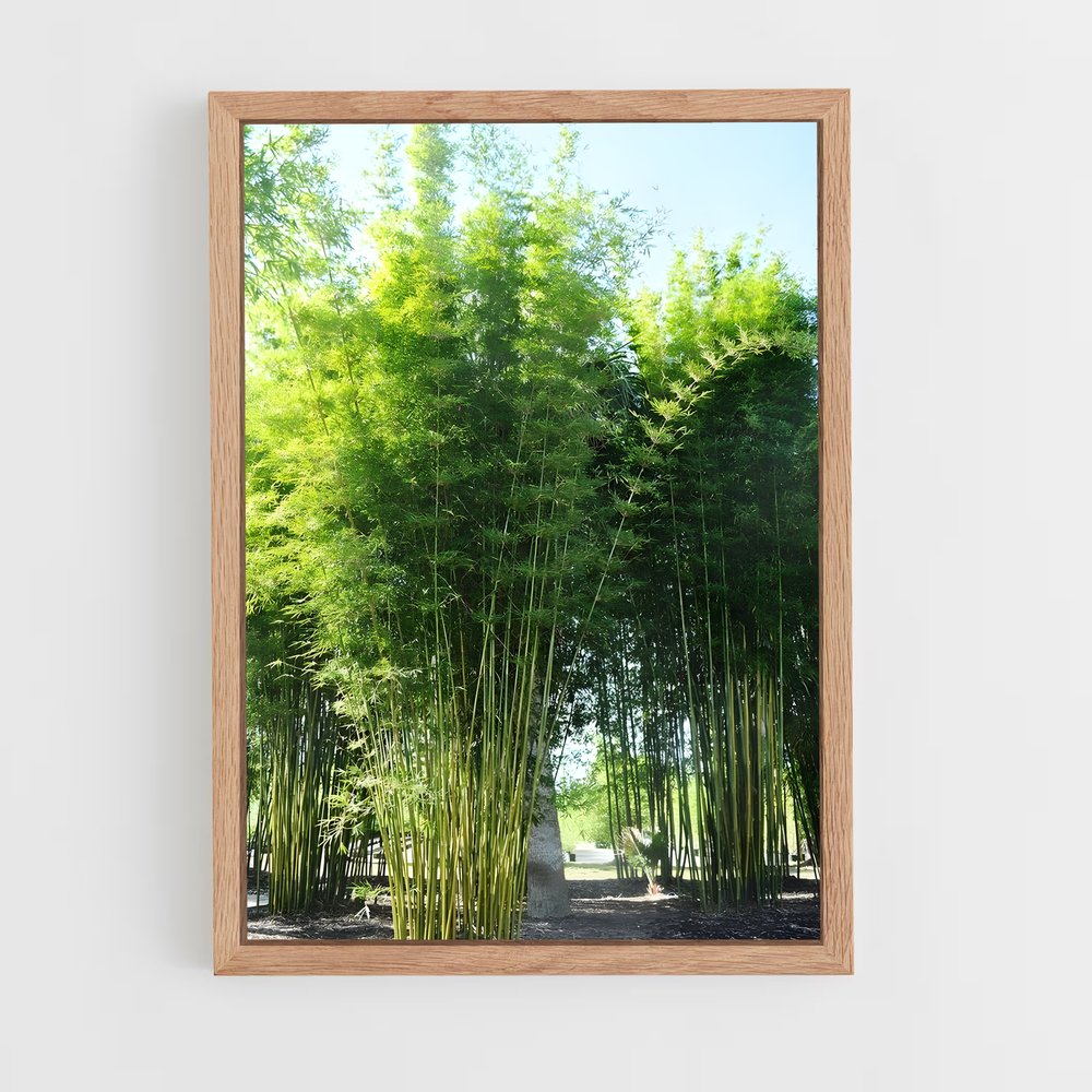 ap-giant bamboo-5 cadre Bois clair