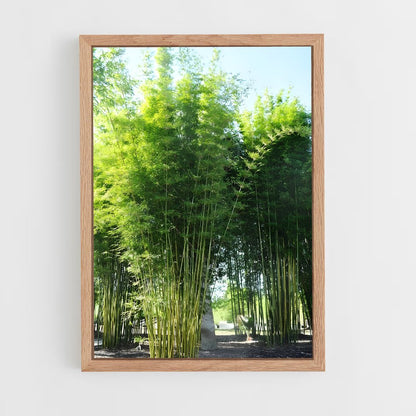 ap-giant bamboo-5 cadre Bois clair