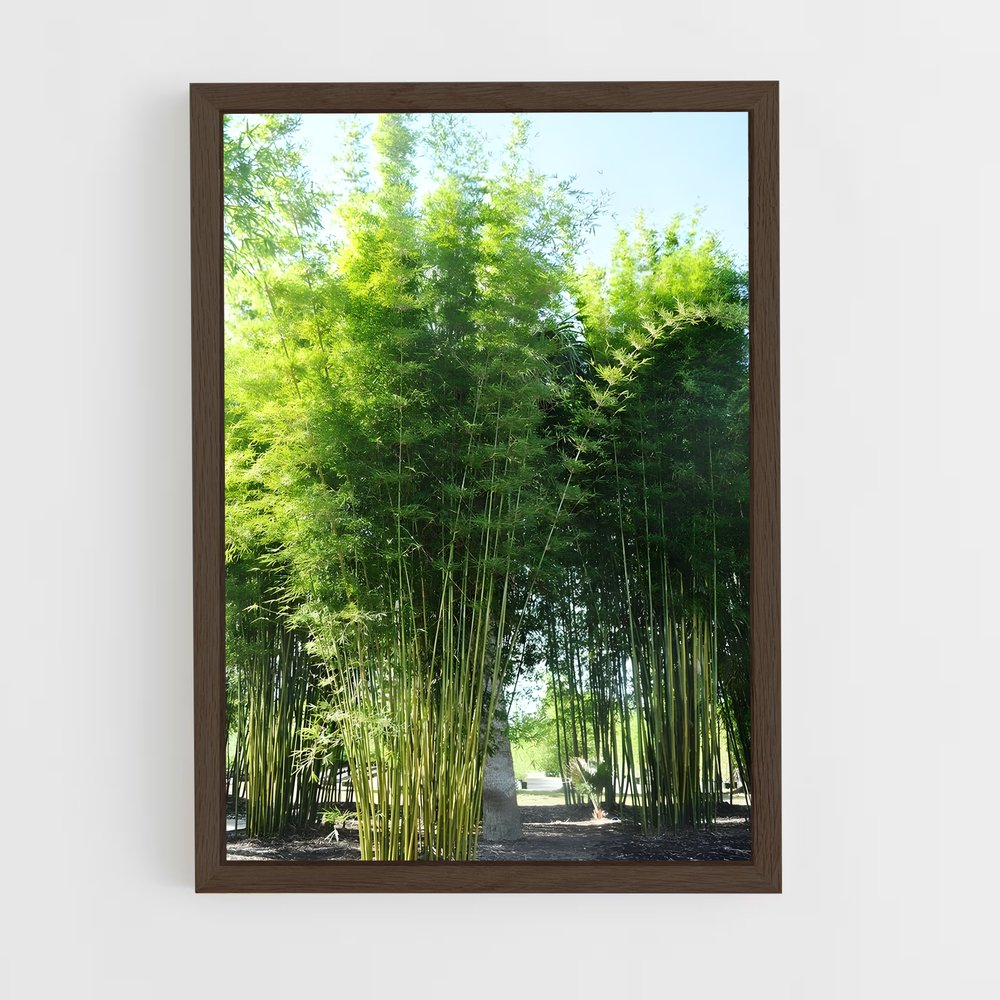 ap-giant bamboo-5 cadre Bois foncé