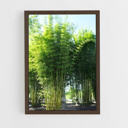 ap-giant bamboo-5 cadre Bois foncé