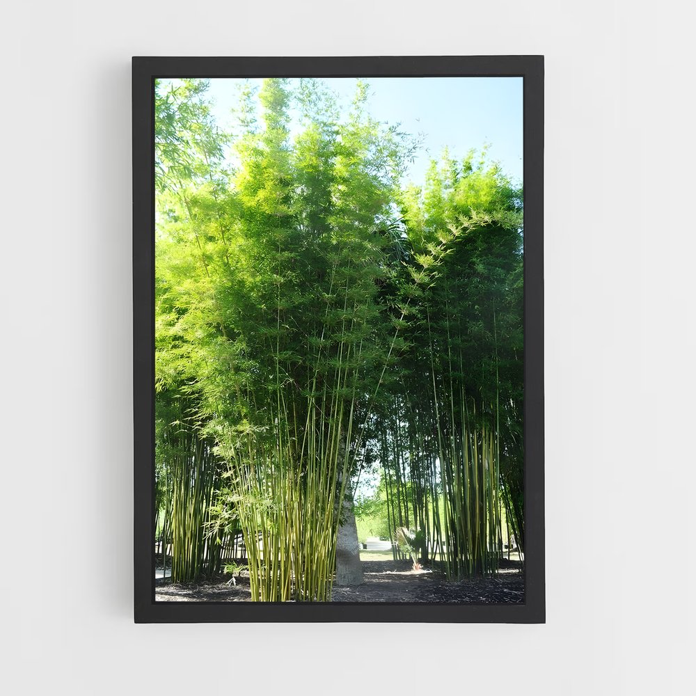 ap-giant bamboo-5 cadre Noir