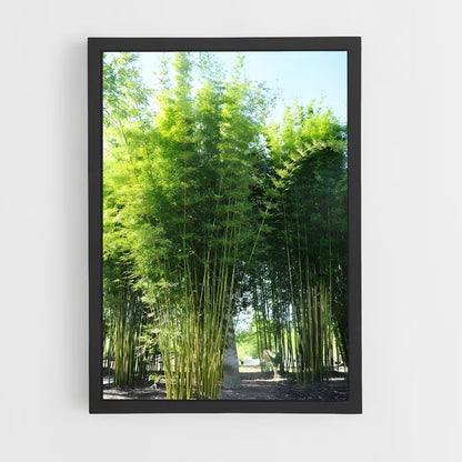 ap-giant bamboo-5 cadre Noir
