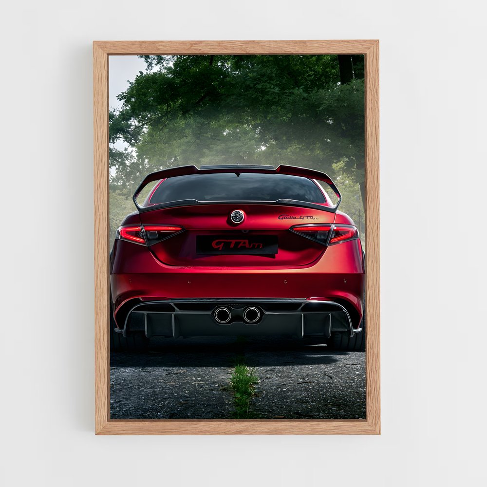 ap-giulia gtam-5 cadre Bois clair