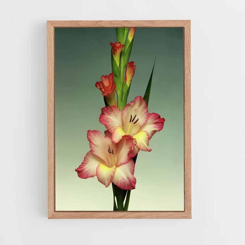 ap-gladiolus-1 cadre Bois clair