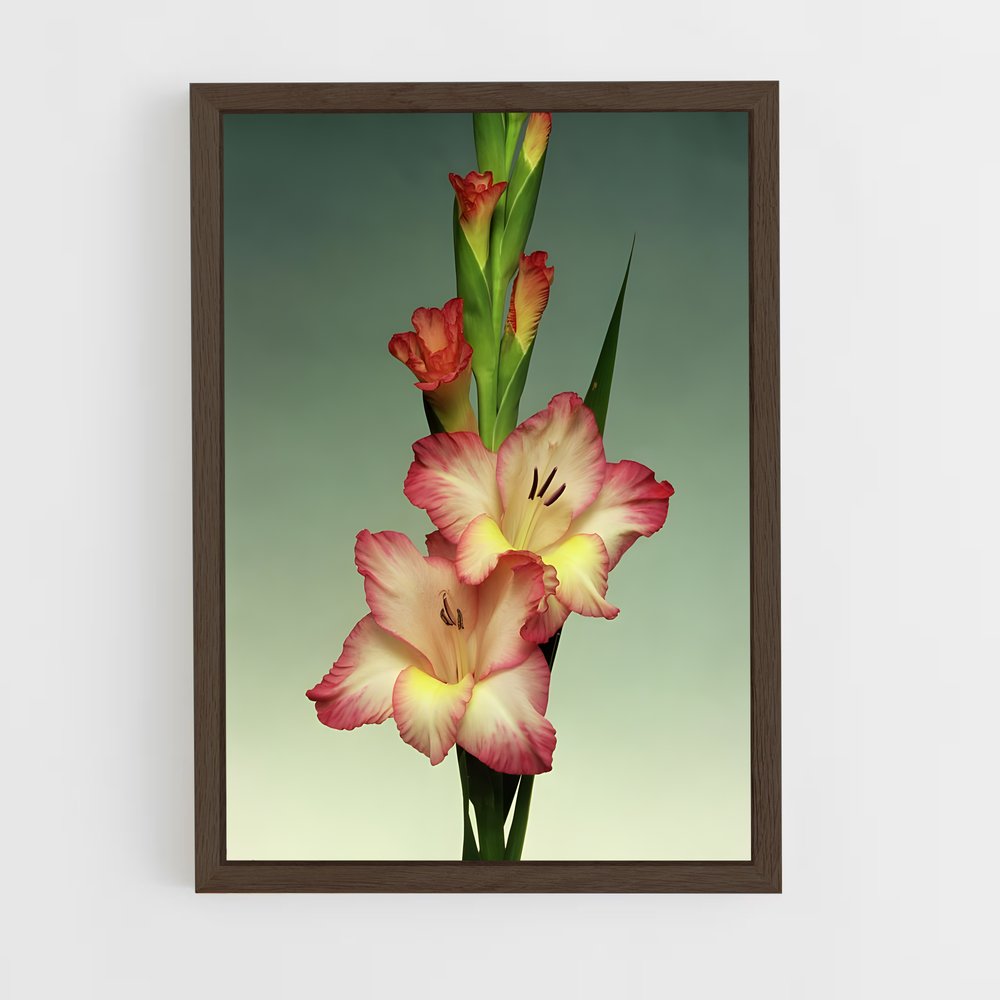 ap-gladiolus-1 cadre Bois foncé
