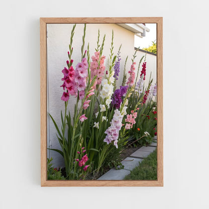 ap-gladiolus-10 cadre Bois clair