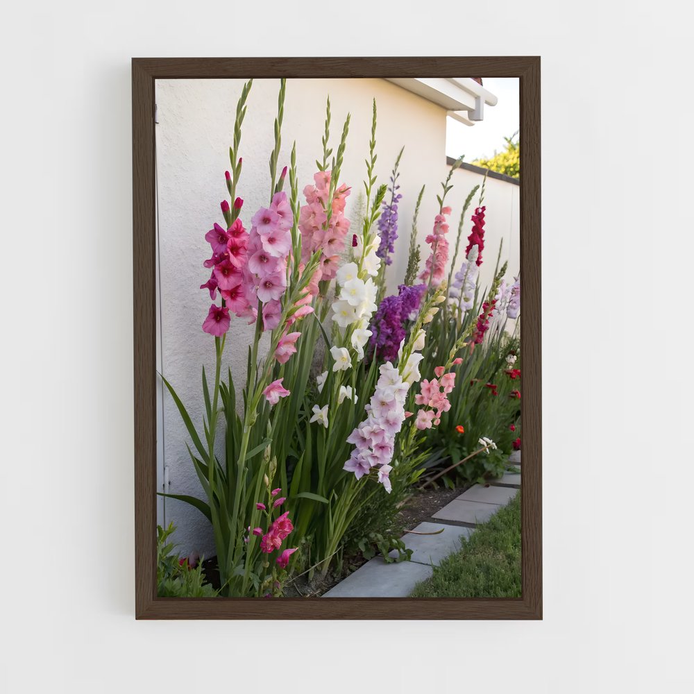ap-gladiolus-10 cadre Bois foncé