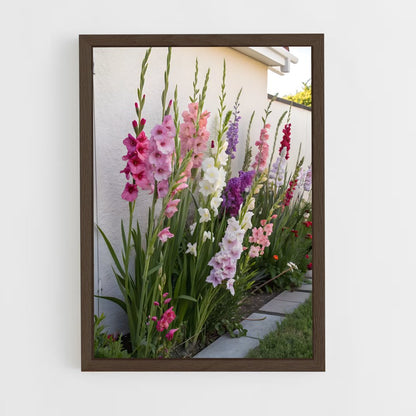 ap-gladiolus-10 cadre Bois foncé