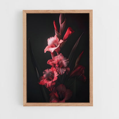 ap-gladiolus-12 cadre Bois clair