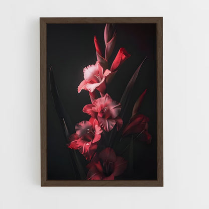 ap-gladiolus-12 cadre Bois foncé