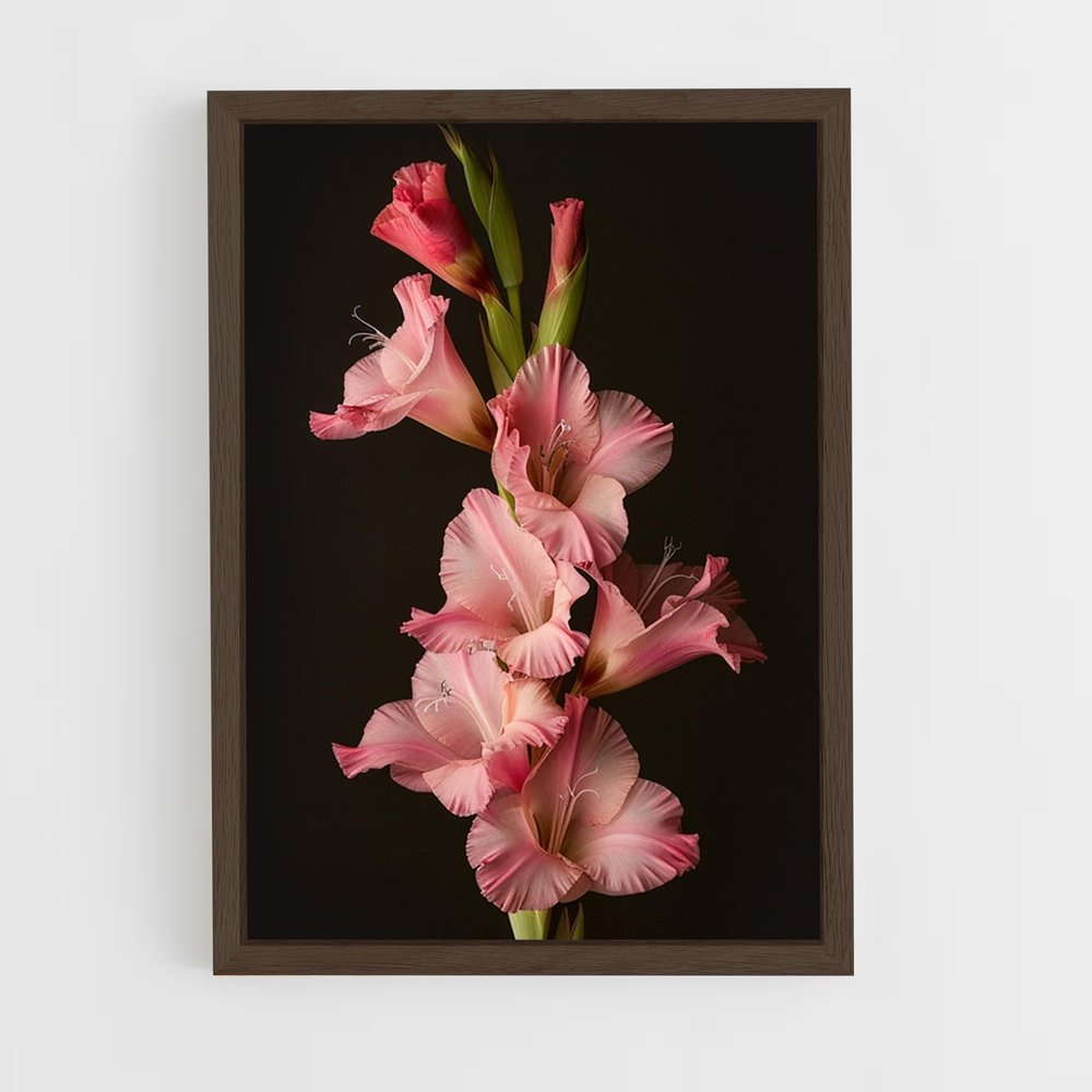 ap-gladiolus-2 cadre Bois foncé