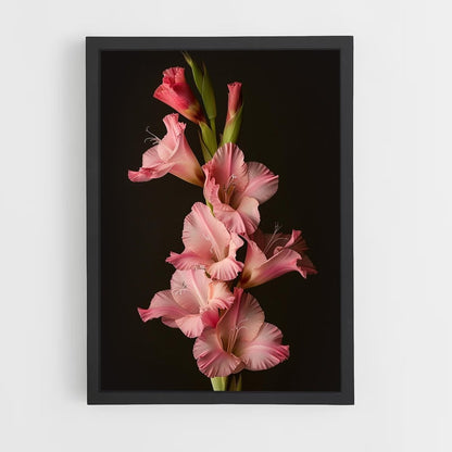 ap-gladiolus-2 cadre Noir