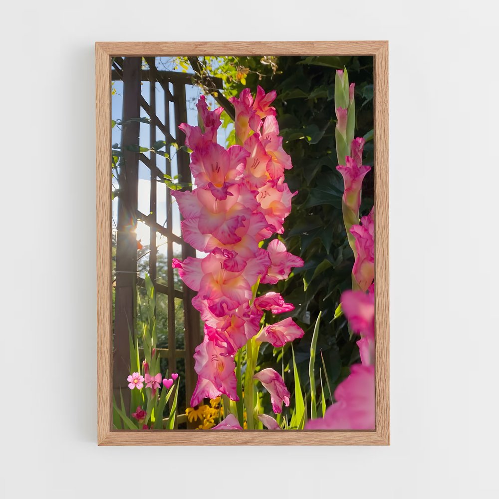 ap-gladiolus-3 cadre Bois clair