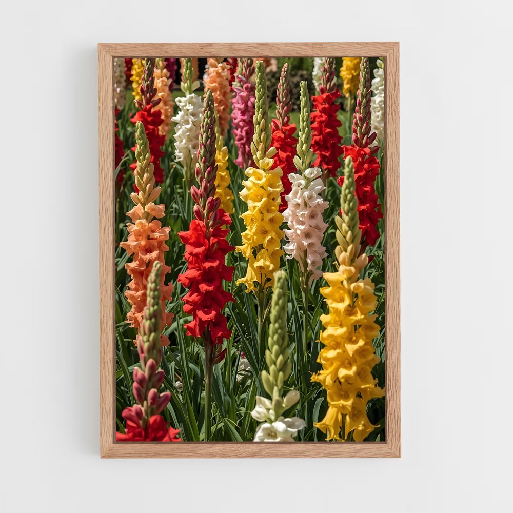 ap-gladiolus-4 cadre Bois clair
