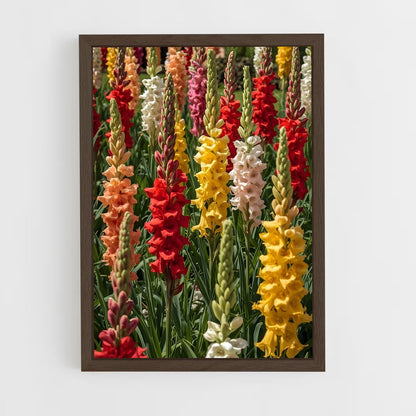 ap-gladiolus-4 cadre Bois foncé