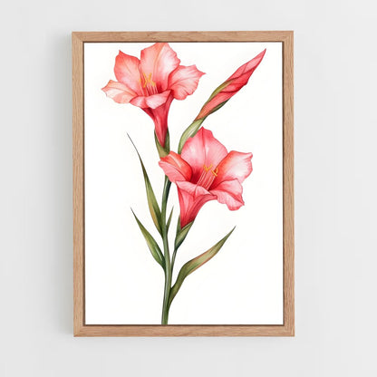 ap-gladiolus-7 cadre Bois clair