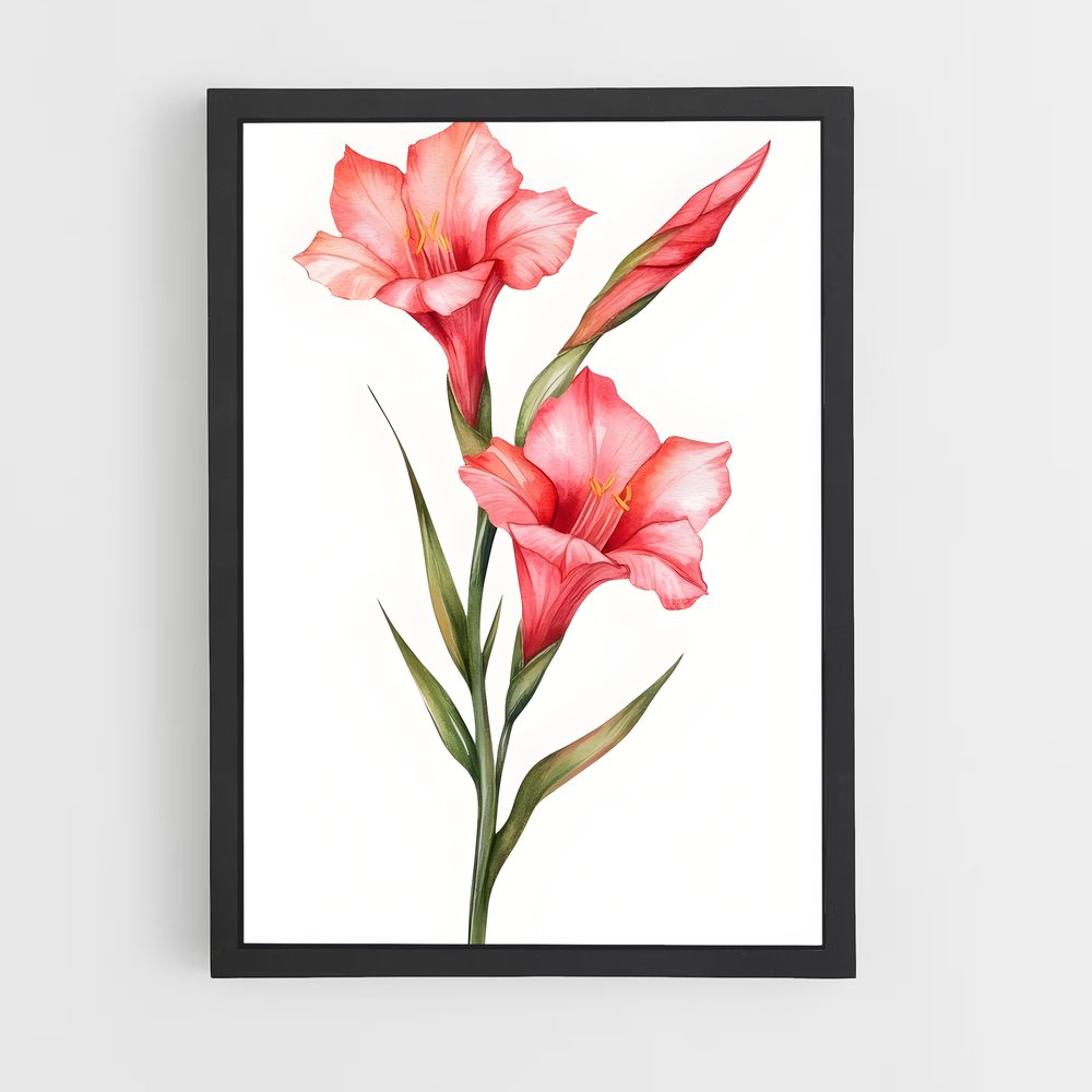 ap-gladiolus-7 cadre Noir