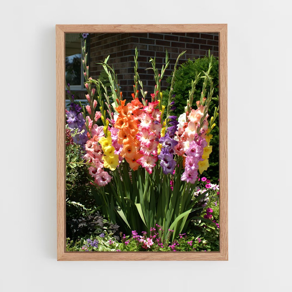 ap-gladiolus-9 cadre Bois clair