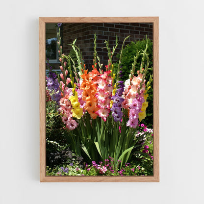 ap-gladiolus-9 cadre Bois clair
