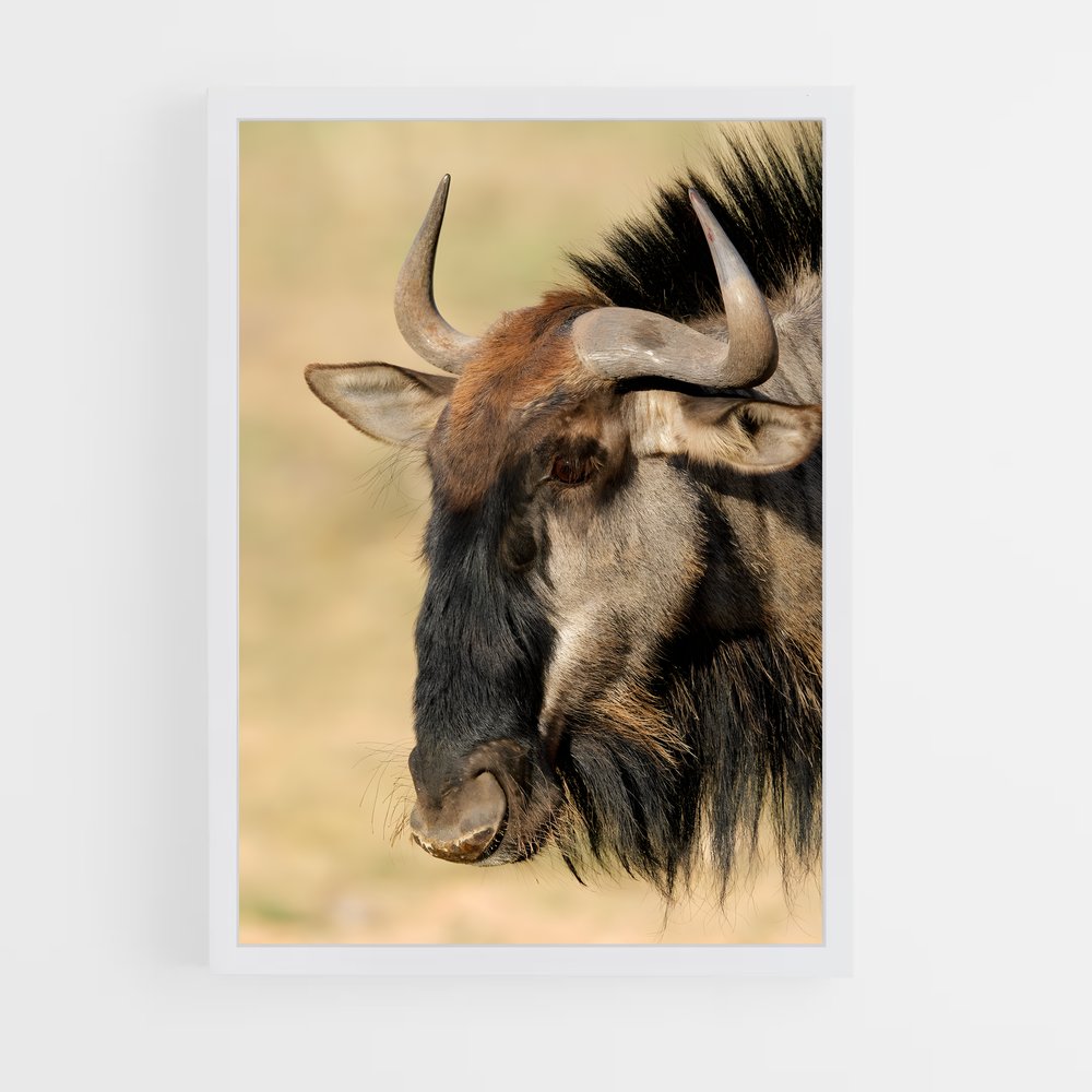 ap-gnu-1 cadre Blanc