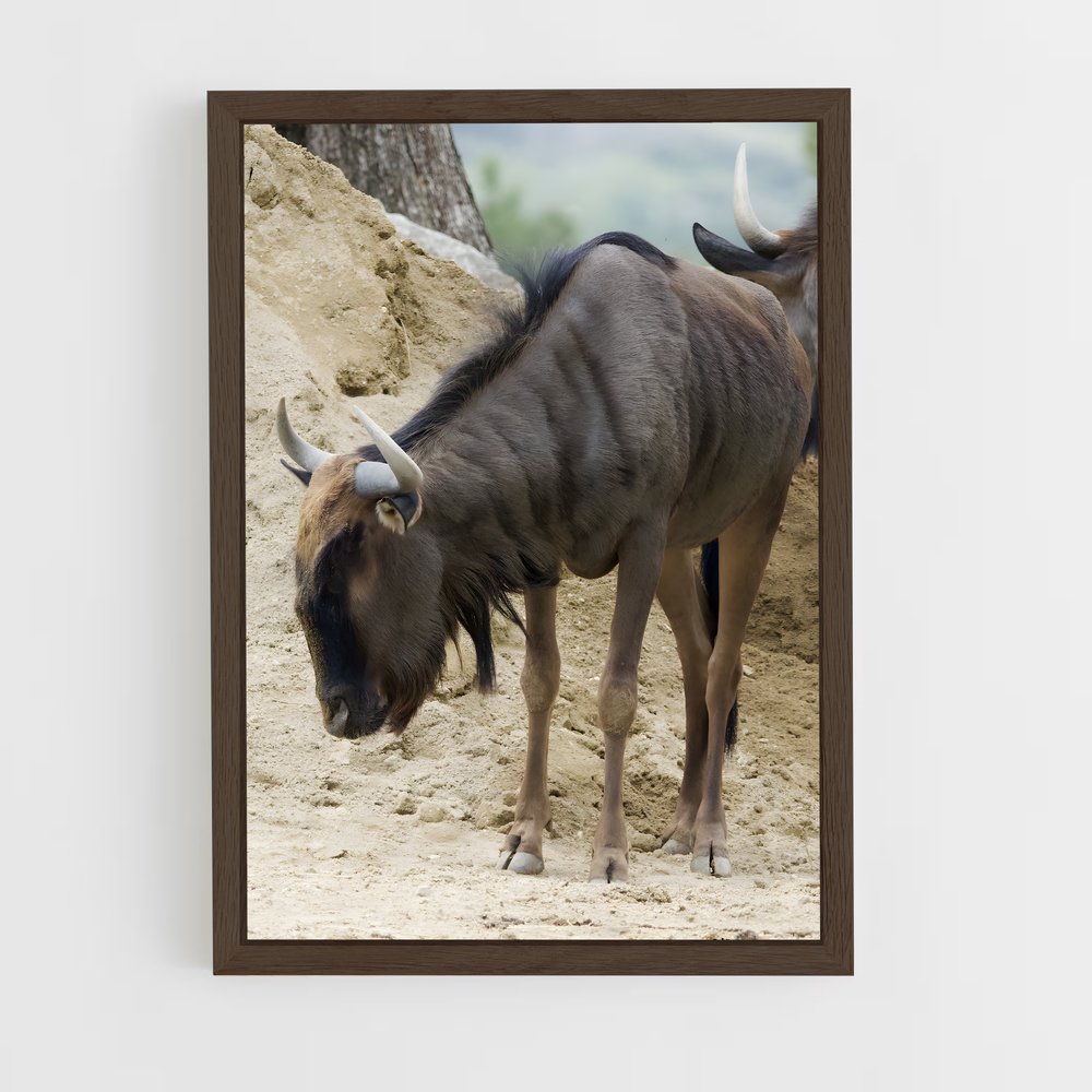 ap-gnu-2 cadre Bois foncé
