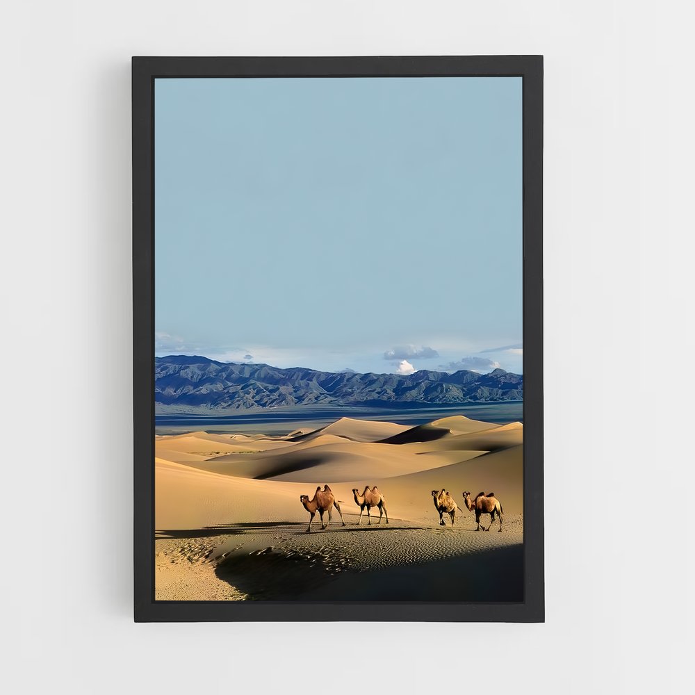 ap-gobi desert-2 cadre Noir