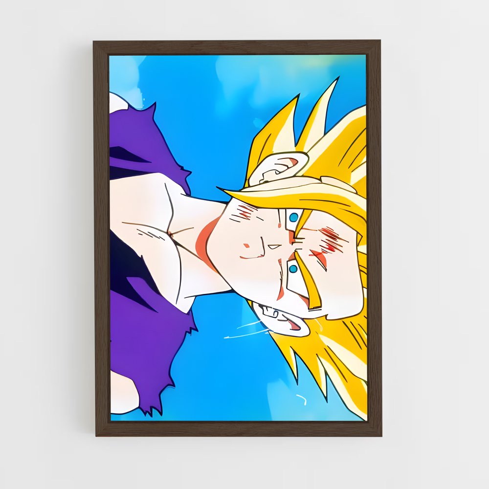ap-gohan-9 cadre Bois foncé