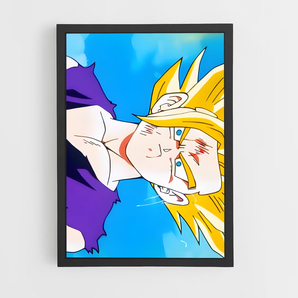 ap-gohan-9 cadre Noir