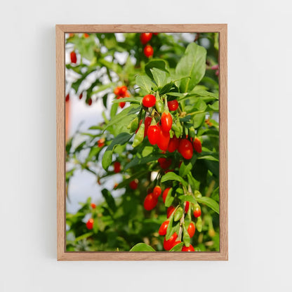 ap-goji berry-1 cadre Bois clair
