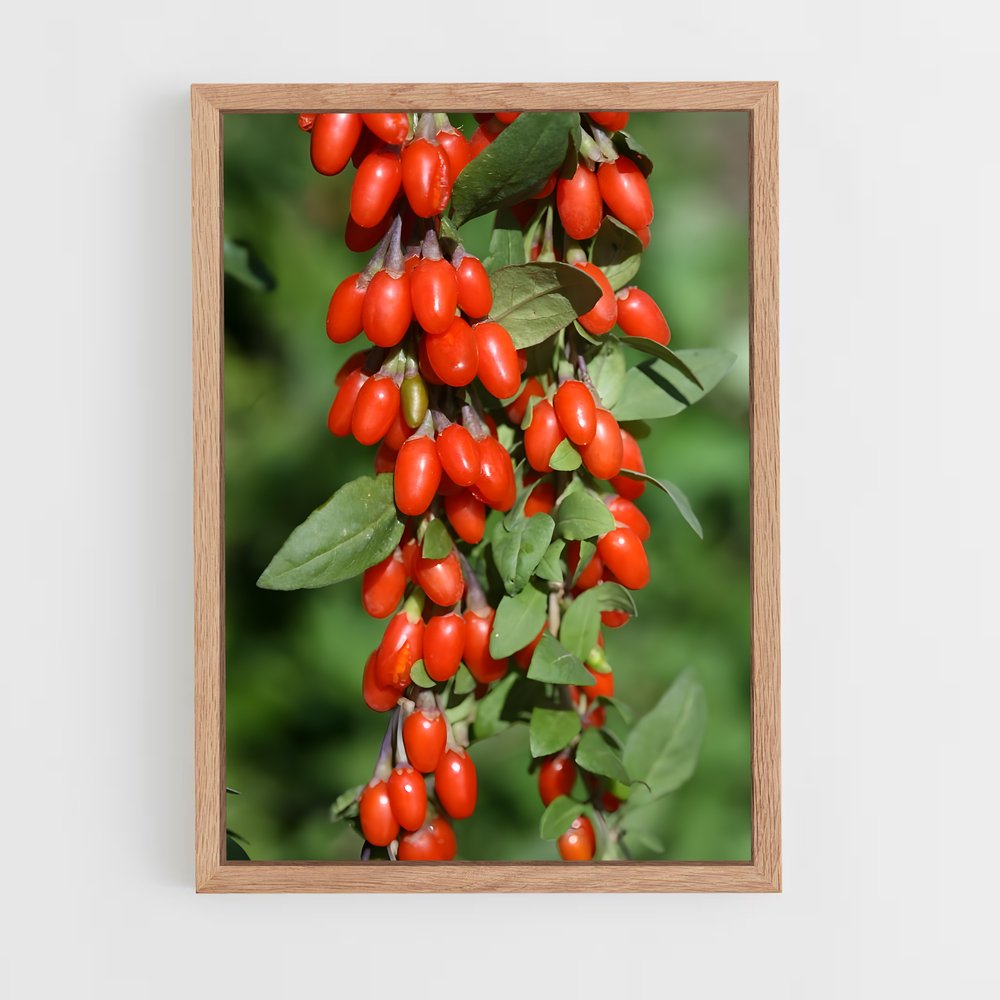 ap-goji berry-2 cadre Bois clair