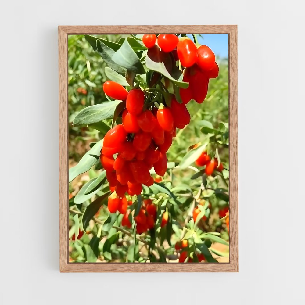 ap-goji berry-5 cadre Bois clair