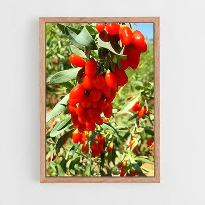 ap-goji berry-5 cadre Bois clair