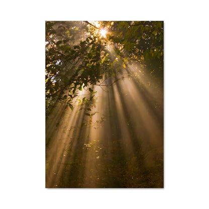 Poster Golden hour 97831