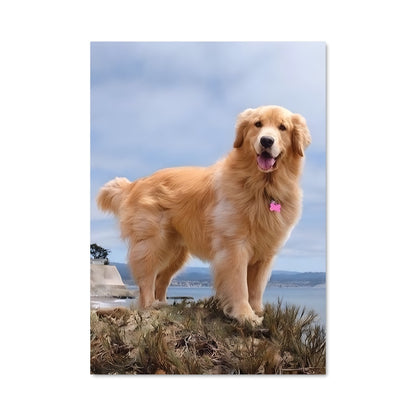 Poster Sommet Canin